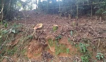 Terreno em Serra Da Cantareira