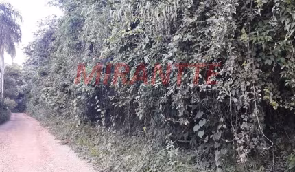Terreno em Serra Da Cantareira