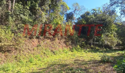 Terreno em Roseira