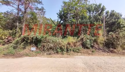 Terreno em Roseira