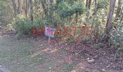 Terreno em Parque Germania