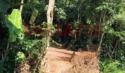 Terreno em Luiz Fagundes