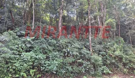 Terreno em Caraguata