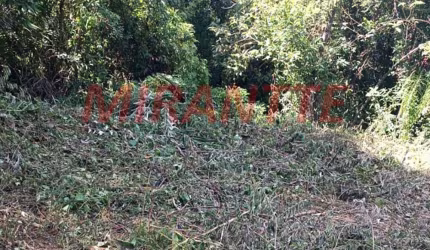 Terreno em São Vicente