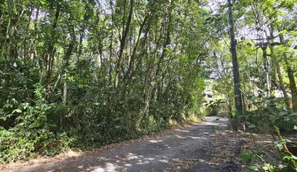 Terreno à venda na Lagoa da Conceição
