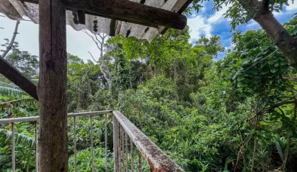 Casa de 4 dormitórios à venda no Morro das Pedras