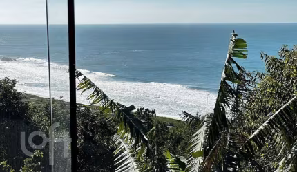 Casa à venda em Praia Mole com 125 m², 4 quartos,