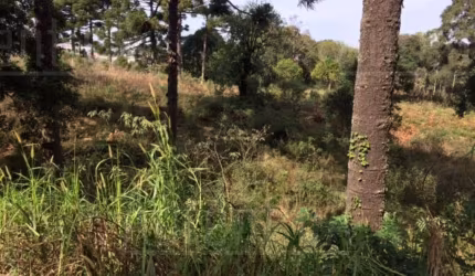 Terreno à venda na Travessão Vitor Emanuel, Brandalise, Caxias do Sul por R$ 2.000.000