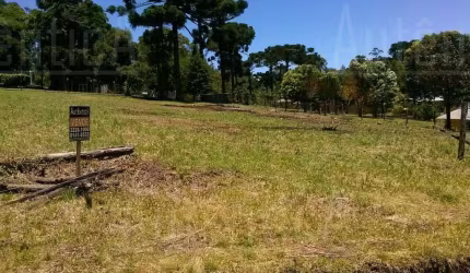 Terreno à venda na Rua Travessão Vítor Emanuel, Nossa Senhora da Saúde, Caxias do Sul por R$ 1.100.000
