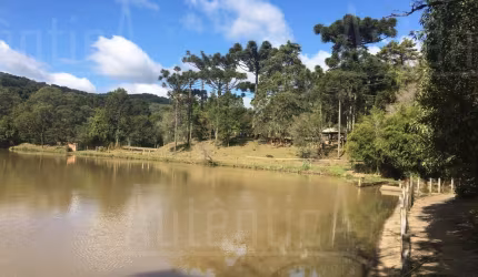 Chácara / sítio à venda na Estrada Pará, São Gotardo (Distrito), Flores da Cunha por R$ 6.000.000