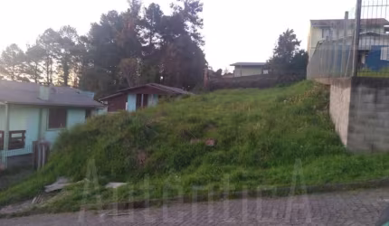 Terreno à venda na Rua Vercidino Jesus de Souza, São Caetano, Caxias do Sul por R$ 190.000