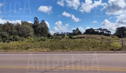 Terreno à venda na Rodovia Vicinal Mato Perso, N° 8 - Km 1,8 - Bairro Forqueta - Caxias do Sul., Forqueta, Caxias do Sul por R$ 2.500.000