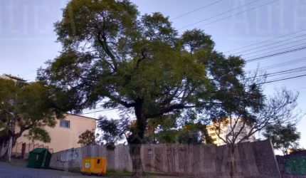 Terreno à venda na Rua Bento Gonçalves, Nossa Senhora de Lourdes, Caxias do Sul por R$ 1.515.520