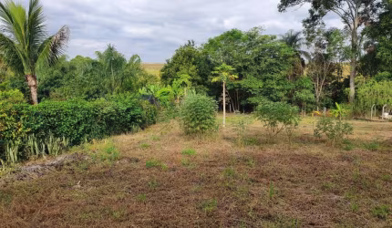 Terreno de chácara em condomínio com mata e córrego em Artur Nogueira - SP