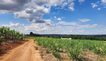 Sítio com 72.600 m² em Artur Nogueira - SP.