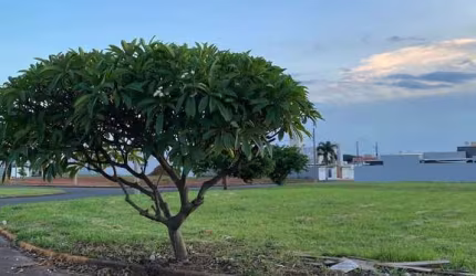 Terreno comercial, de esquina entre o bairro Nova Artur / Rota das Flores
