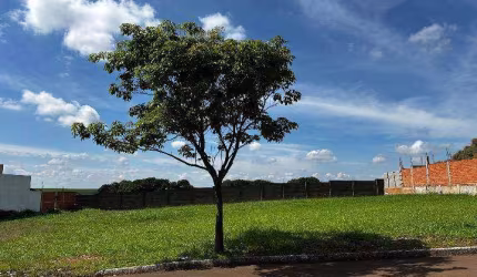 Terreno no Condomínio Portal dos Manacás