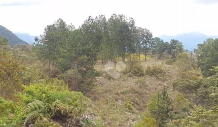 Terreno à venda, 1690000 m² por R$ 25.000.000,00 - • Itaipava - Petrópolis/RJ