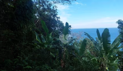 Terreno à venda, 6000 m² por R$ 6.000.000,00 - São Conrado - Rio de Janeiro/RJ