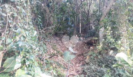 Terreno à venda, 450 m² por R$ 585.000,00 - São Conrado - Rio de Janeiro/RJ