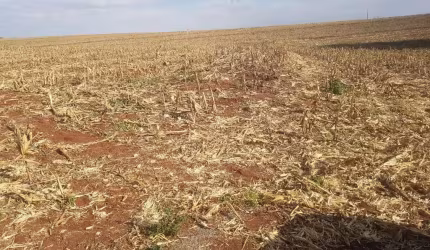 Fazenda para Venda em Tuneiras do Oeste, Bairro Ouro Verde
