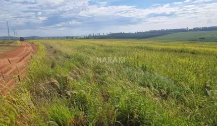 Sítio para Venda em Terra Boa