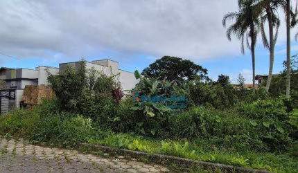 Terreno à venda, 322 m² por R$ 330.000,00 - Itajuba - Barra Velha/SC
