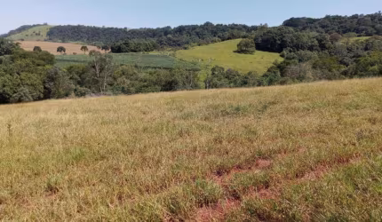 Chácara / sítio à venda na Área Rural de Avaré, Avaré  por R$ 1.836.000