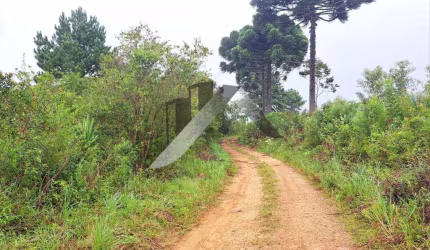 Chácara / sítio à venda na Rua Leonardo Muchau, Espigão das Antas, Mandirituba, 16000 m2 por R$ 150.000