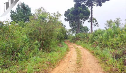 Chácara / sítio à venda na Rua Leonardo Muchau, Espigão das Antas, Mandirituba, 16000 m2 por R$ 150.000