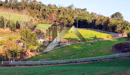 Chácara / sítio com 3 quartos à venda no Centro, Quitandinha , 30000 m2 por R$ 520.000