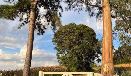 Chácara / sítio com 2 quartos à venda na Estrada Principal, 000, Centro, Mandirituba, 7000 m2 por R$ 360.000