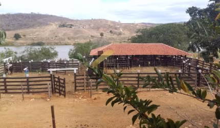 Fazenda à venda em Araçuaí - MG, com 144 hectares, acesso pela rodovia BR 342 e grande espectro de atividade