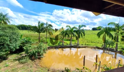 Sítio à venda em Caconde - São Paulo, casa sede com 4 dormitórios, 2 banheiros, adega.