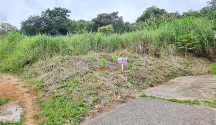 Terreno de 5688m² no bairro Agronômica