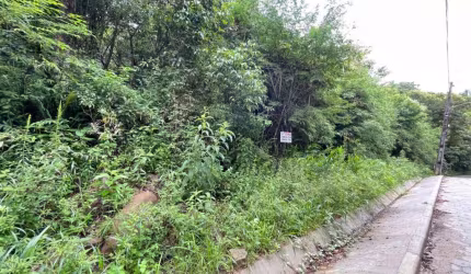 Terreno de 970.99m² no bairro Pântano Do Sul
