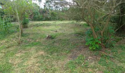 Terreno de 3575m² no bairro Morro Das Pedras