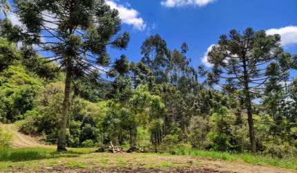 Terreno de 25774.8m² no bairro Rancho Queimado