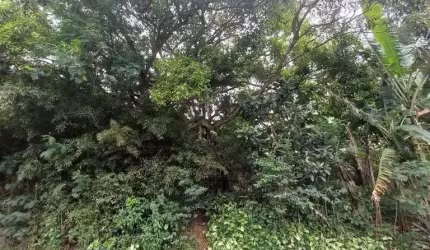 Terreno de 417m² na Trindade
