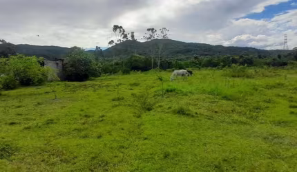 Terreno com 5.280m² no bairro Ratones em Florianópolis