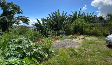Terreno de 379m² na Agronômica