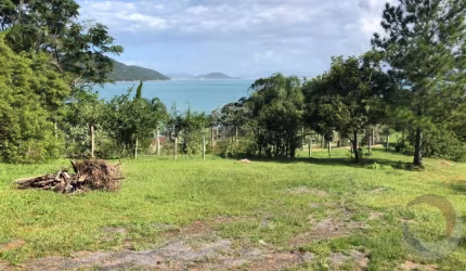 Terreno de 4260m² no bairro Ribeirao Da Ilha