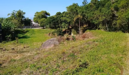 Terreno de 43875m² no bairro Armação da Piedade