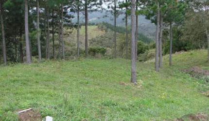 Terreno de 2340.28m² no bairro Rancho Queimado