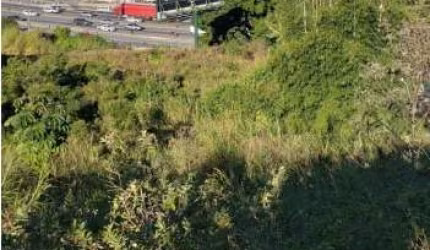 Terreno de 14708m² no bairro Picadas Do Sul