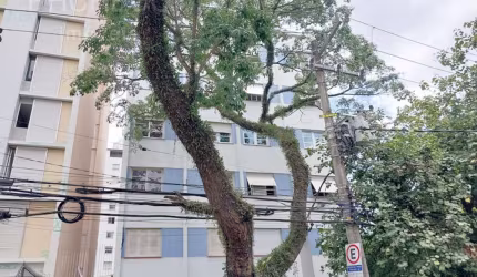 Apartamento com 1 quarto para alugar na Rua Cônego Eugênio Leite, --, Pinheiros, São Paulo, 97 m2 por R$ 3.900