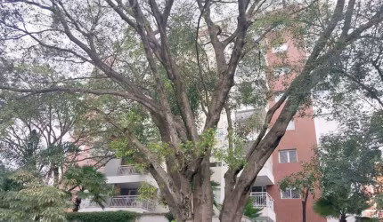 Apartamento com 2 quartos para alugar na Rua Fidalga, --, Vila Madalena, São Paulo, 74 m2 por R$ 6.000