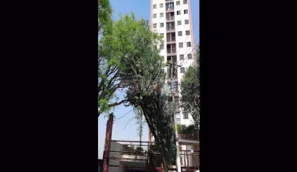APARTAMENTO 03 DORMITÓRIOS COM 02 VAGAS