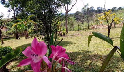 Terreno à venda na Rua Juliana Peitl Meduri, 360, Jardim Maracanã, Atibaia por R$ 150.000