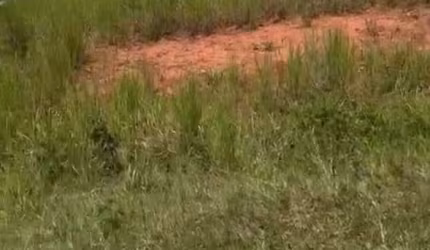 Terreno em condomínio fechado à venda na Rua Quatro, 200, Terra Preta, Mairiporã por R$ 140.000